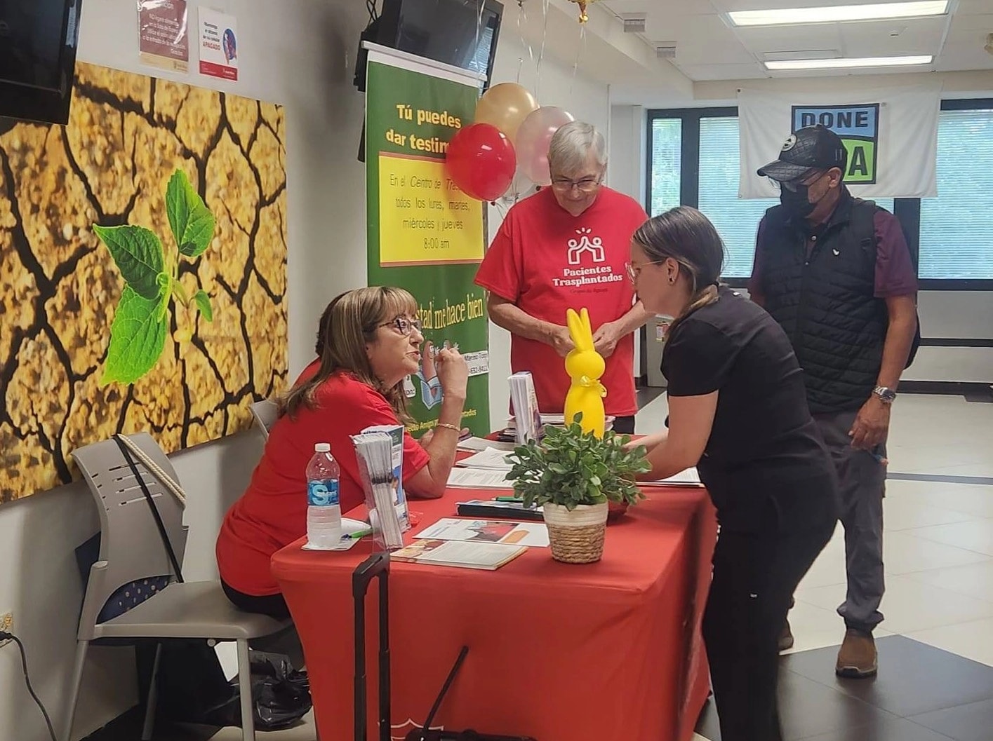 Dos mujeres con camisetas rojas de "Pacientes Trasplantados" atienden una mesa informativa decorada con un mantel rojo, materiales educativos y una figura de conejo amarillo. Una mujer de ropa oscura se acerca a la mesa en conversación. Al fondo se observan globos y un banner del Centro de Trasplante del Hospital Auxilio Mutuo.